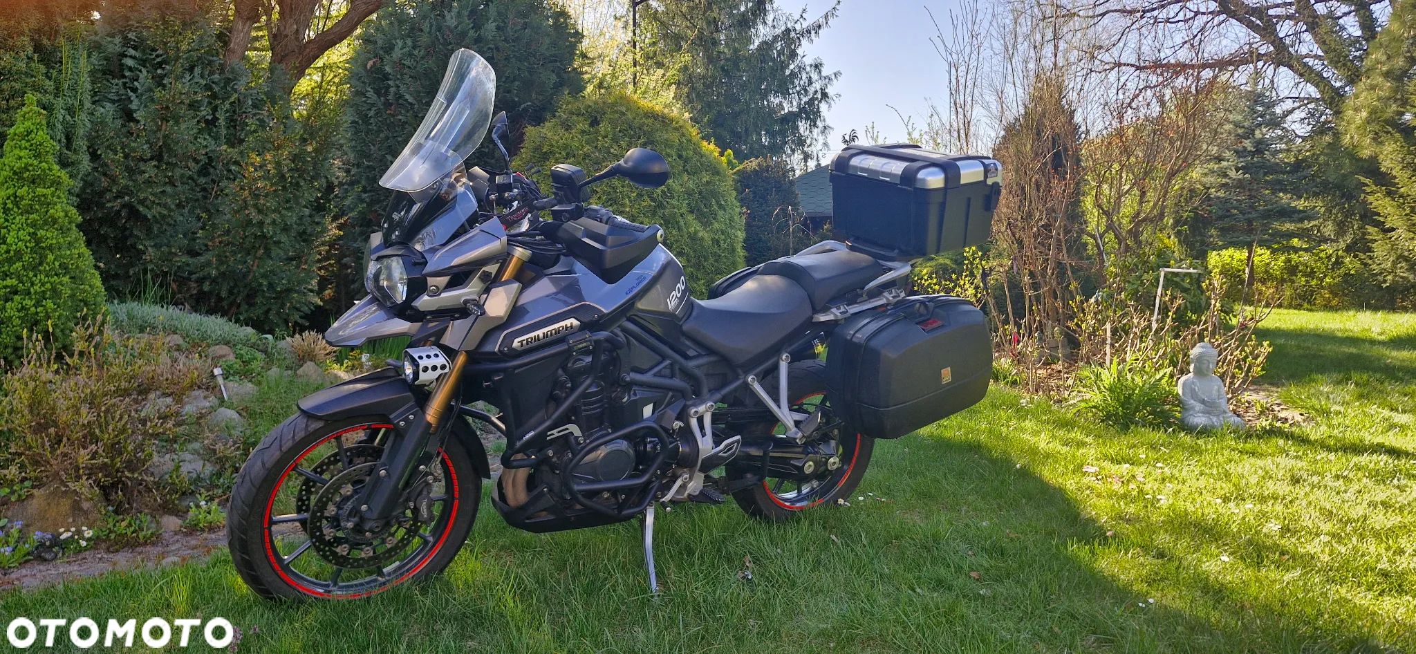 Triumph Tiger - 1
