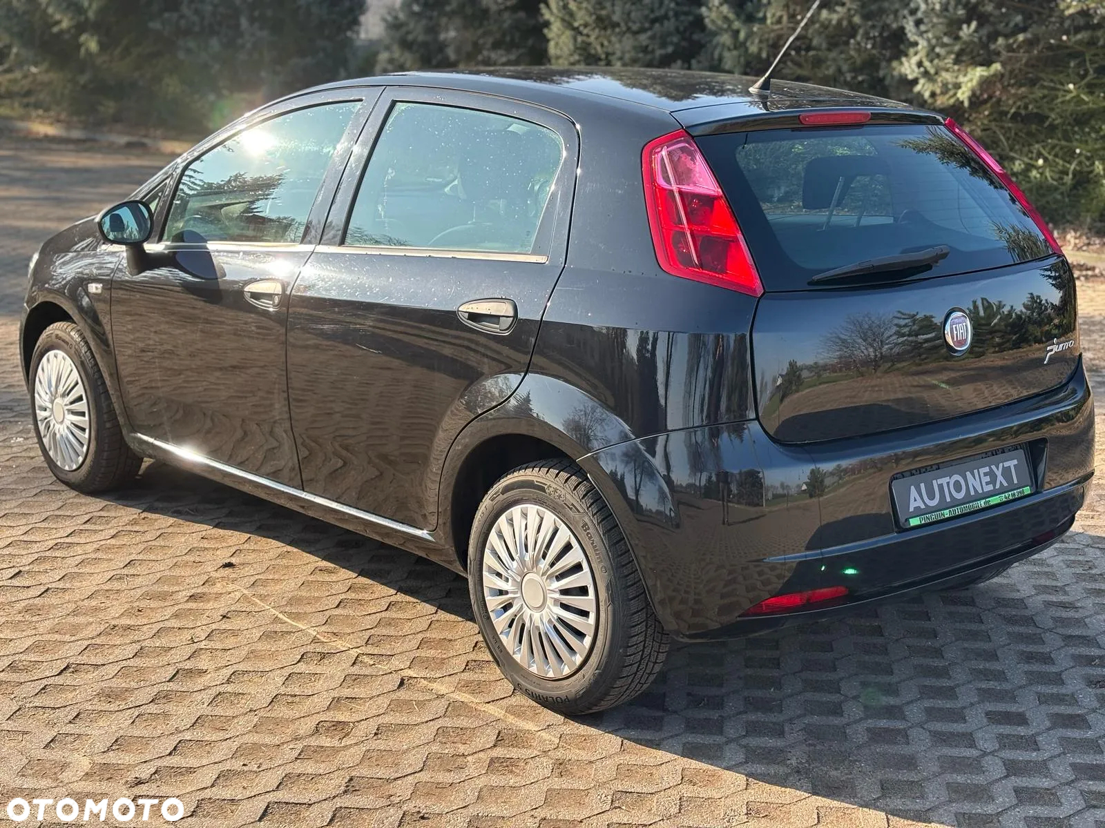 Fiat Punto - 5