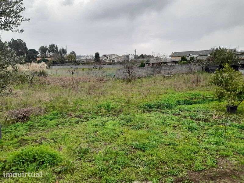 Terreno com 3800 m2 - Grande imagem: 5/12