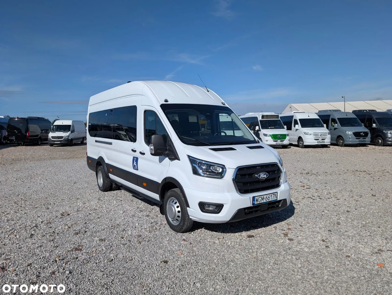 Ford Transit - 1