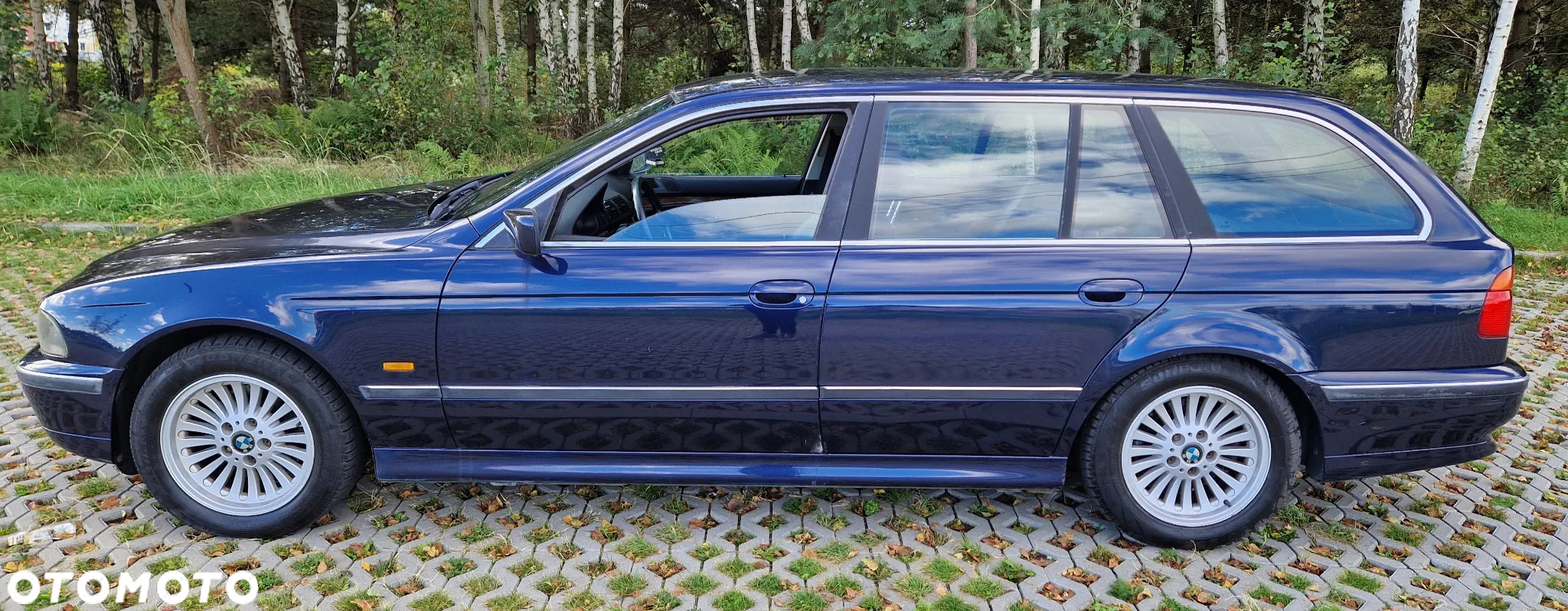 BMW Seria 5 520i - 8