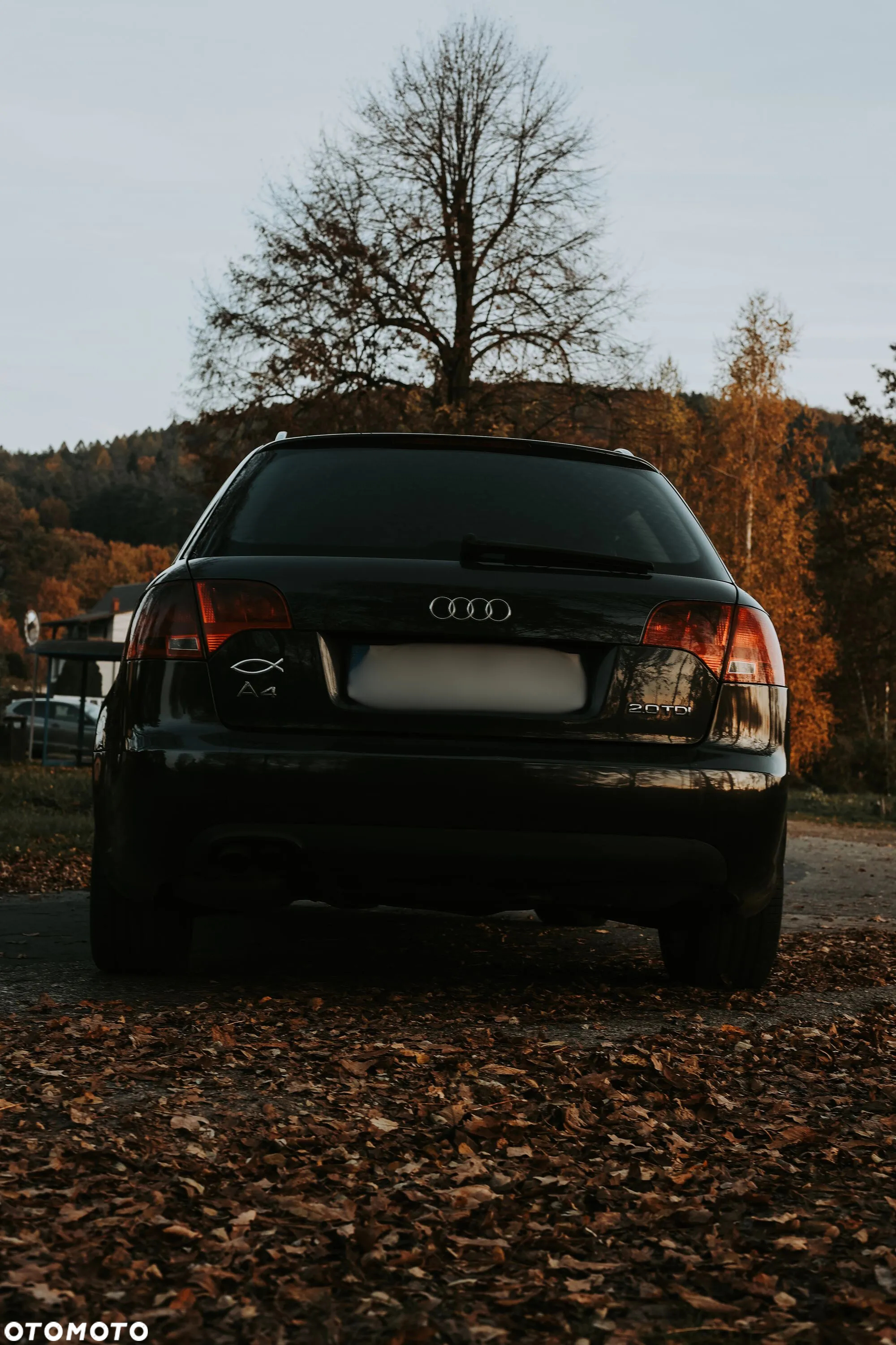 Audi A4 Avant 2.0 TDI - 2
