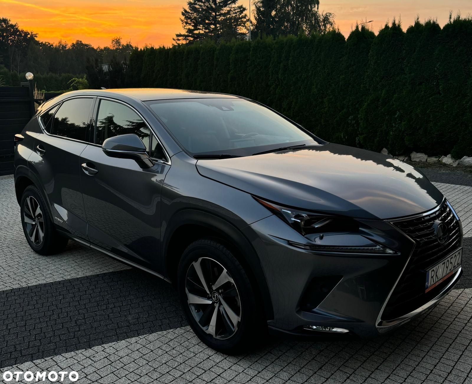 Lexus NX 300h Business Edition AWD - 1