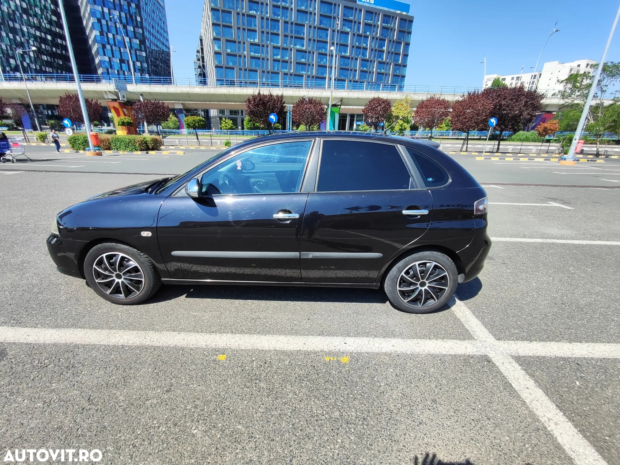 Seat Ibiza - 6