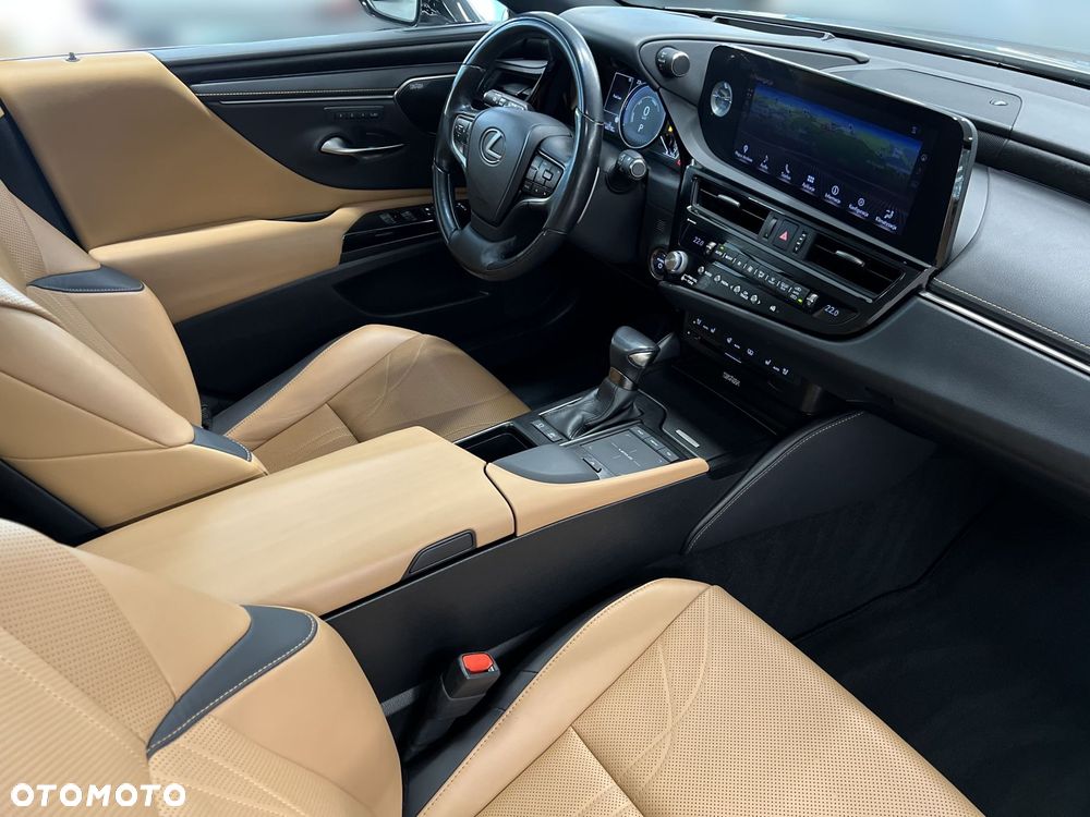 Lexus ES 300h Omotenashi - 10