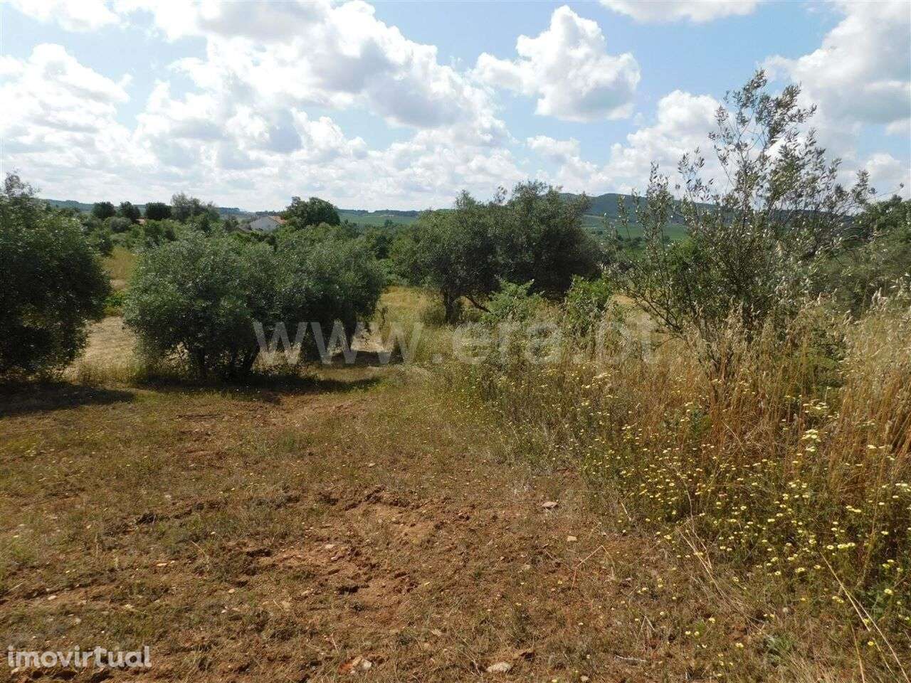 Terreno / Fundão, Alpedrinha - Grande imagem: 5/11