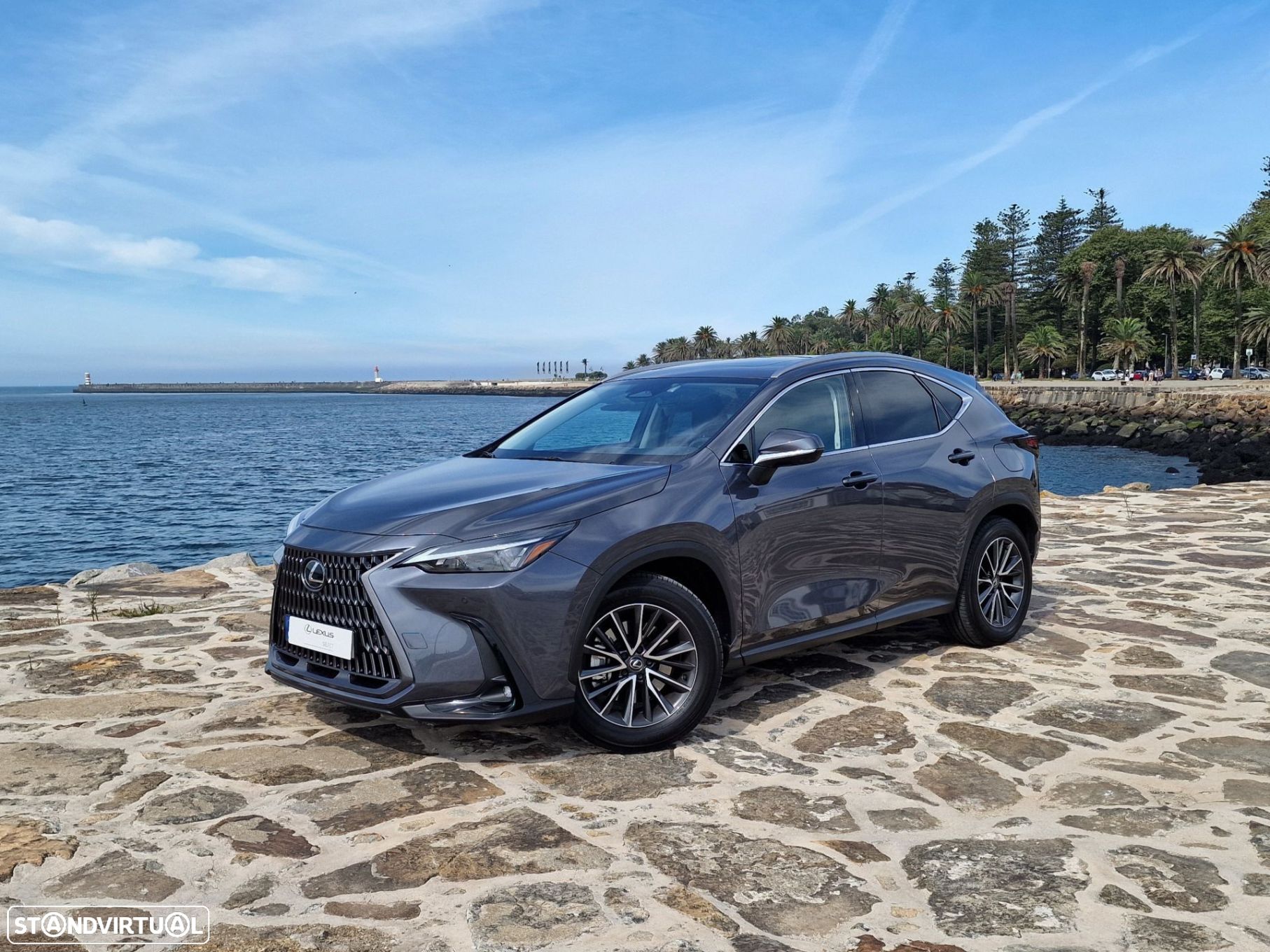 Lexus NX 450h+ - 1