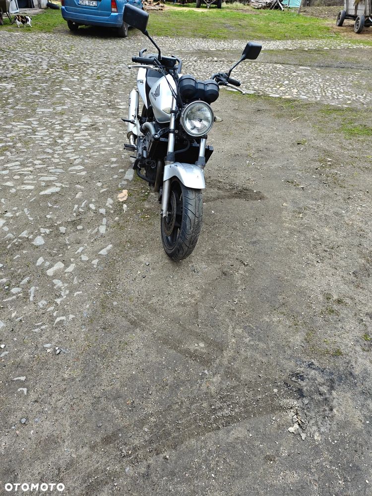 Honda Hornet - 1