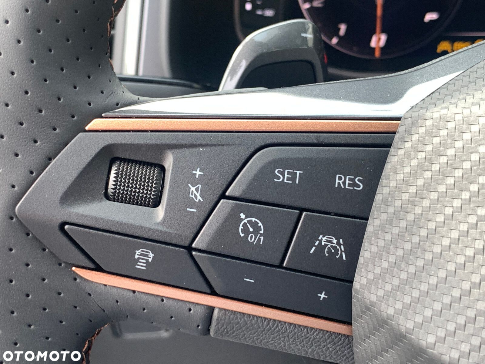 Cupra Ateca - 14