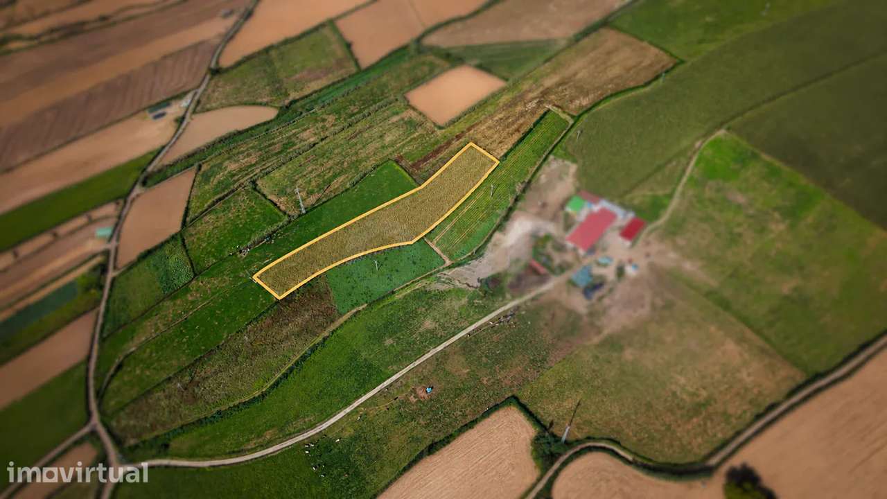 Terreno com 7.360 m², localizado em Água de Pau, no concelho da Lagoa - Grande imagem: 4/4
