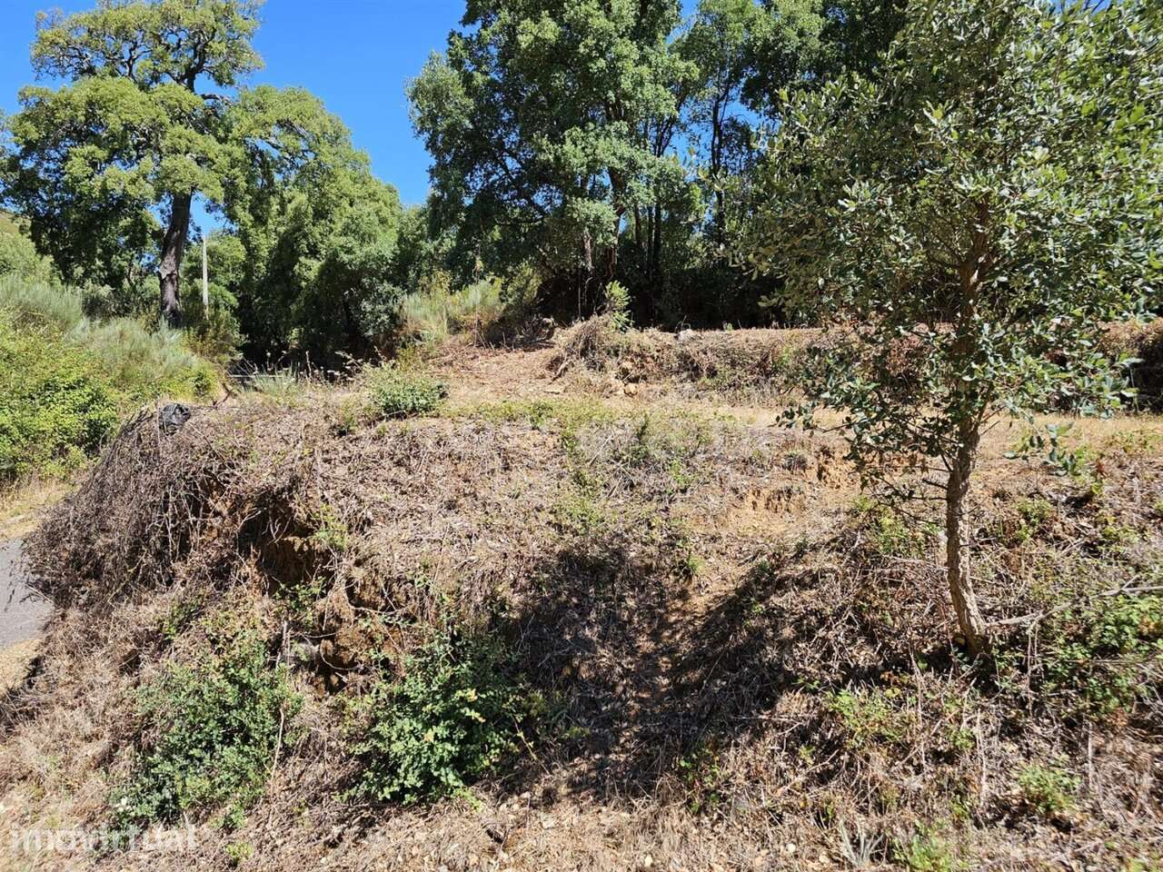 Terreno / Fundão, Telhado - Grande imagem: 4/8