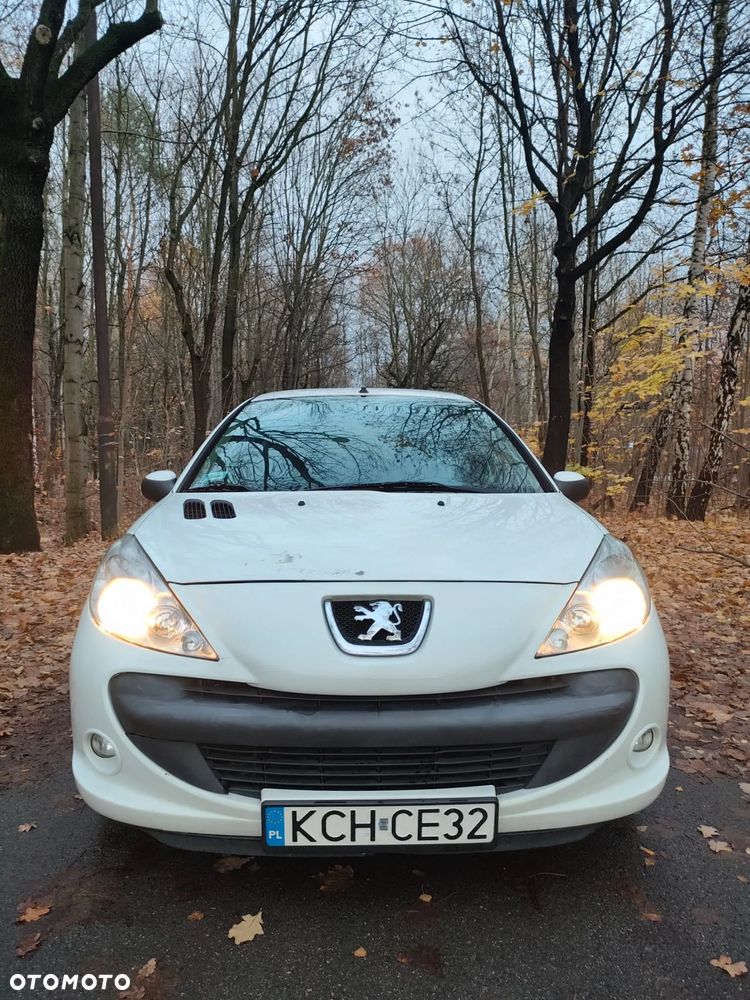 Peugeot 206 plus - 3