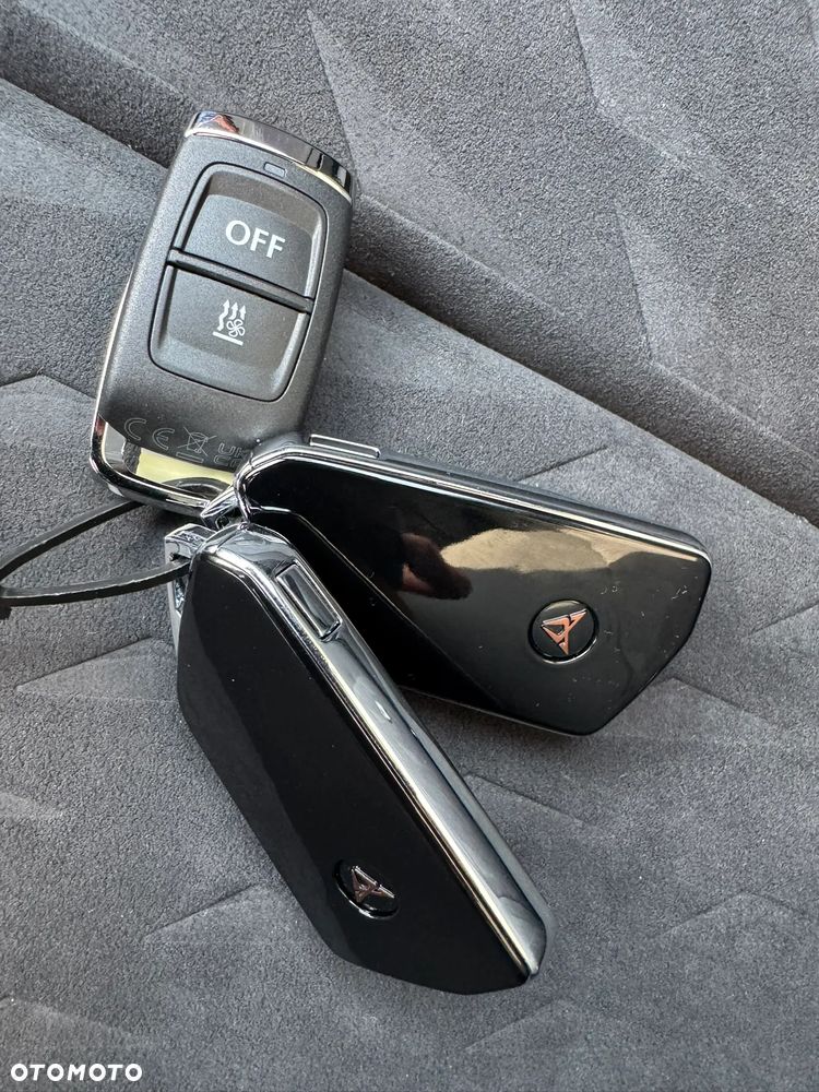Cupra Terramar 2.0 TSI 4Drive Advantage Edition Copper DSG - 17