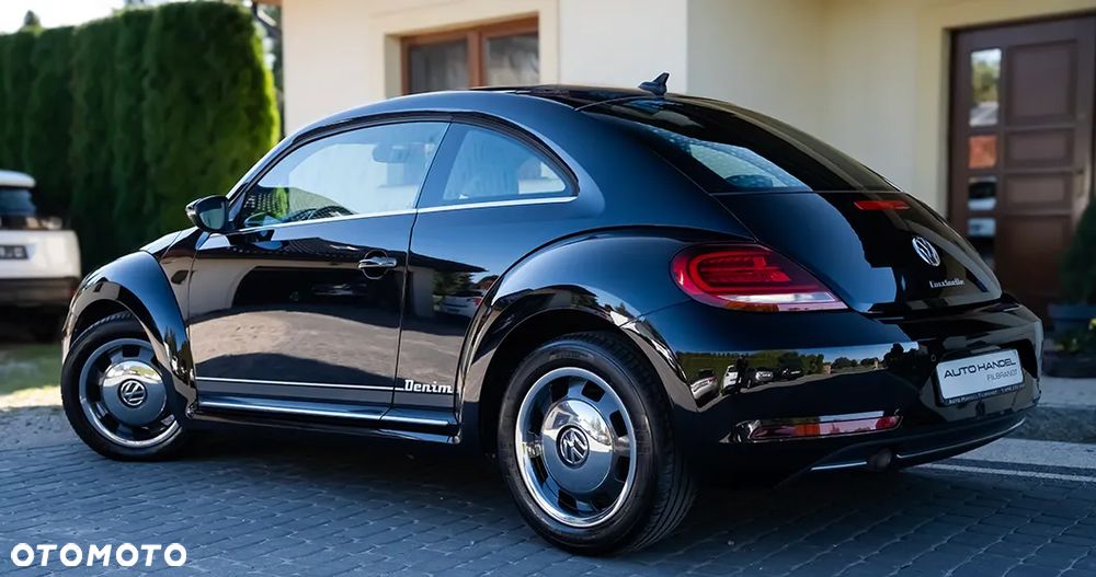 Volkswagen Beetle - 22