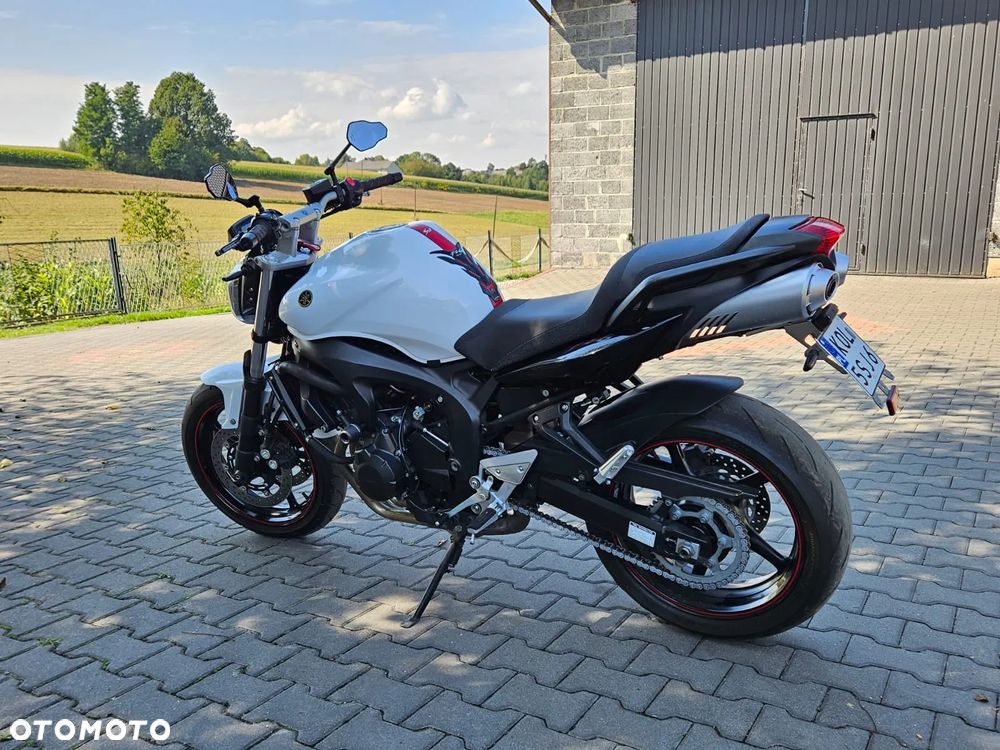 Yamaha FZ6 - 16