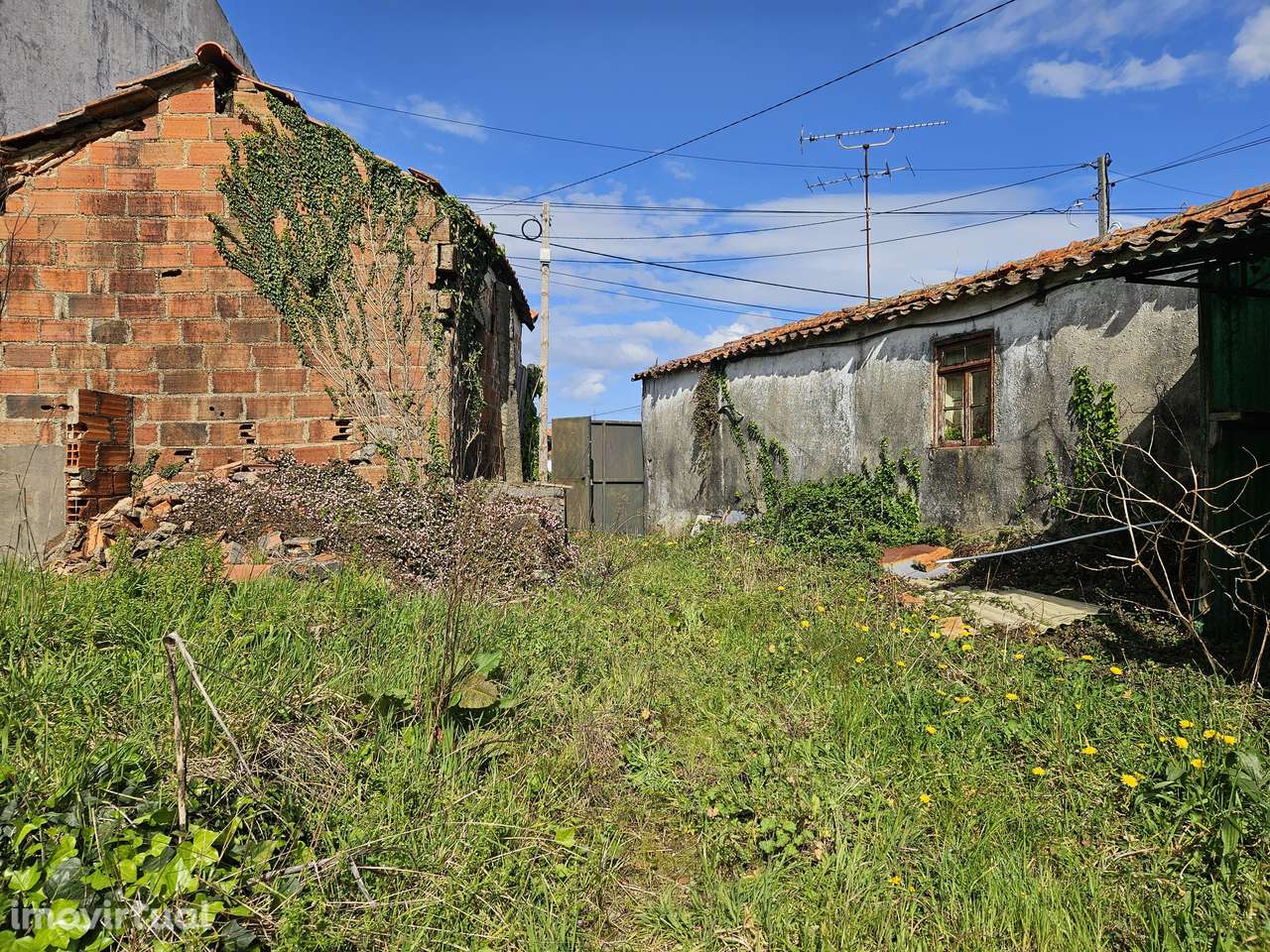 Moradia Térrea para Restaurar em Nogueira do Cravo OAZ - Grande imagem: 4/20