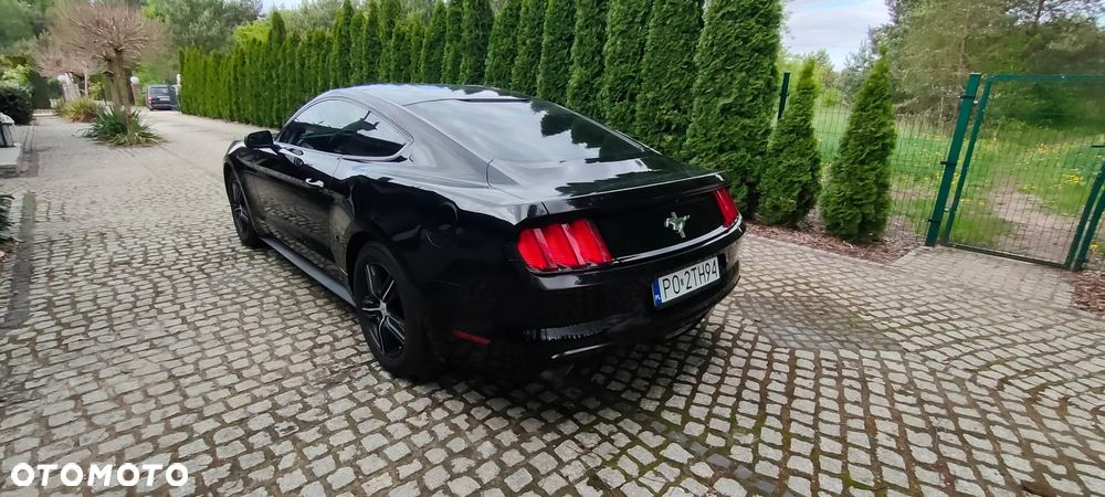 Ford Mustang 3.7 V6 - 5