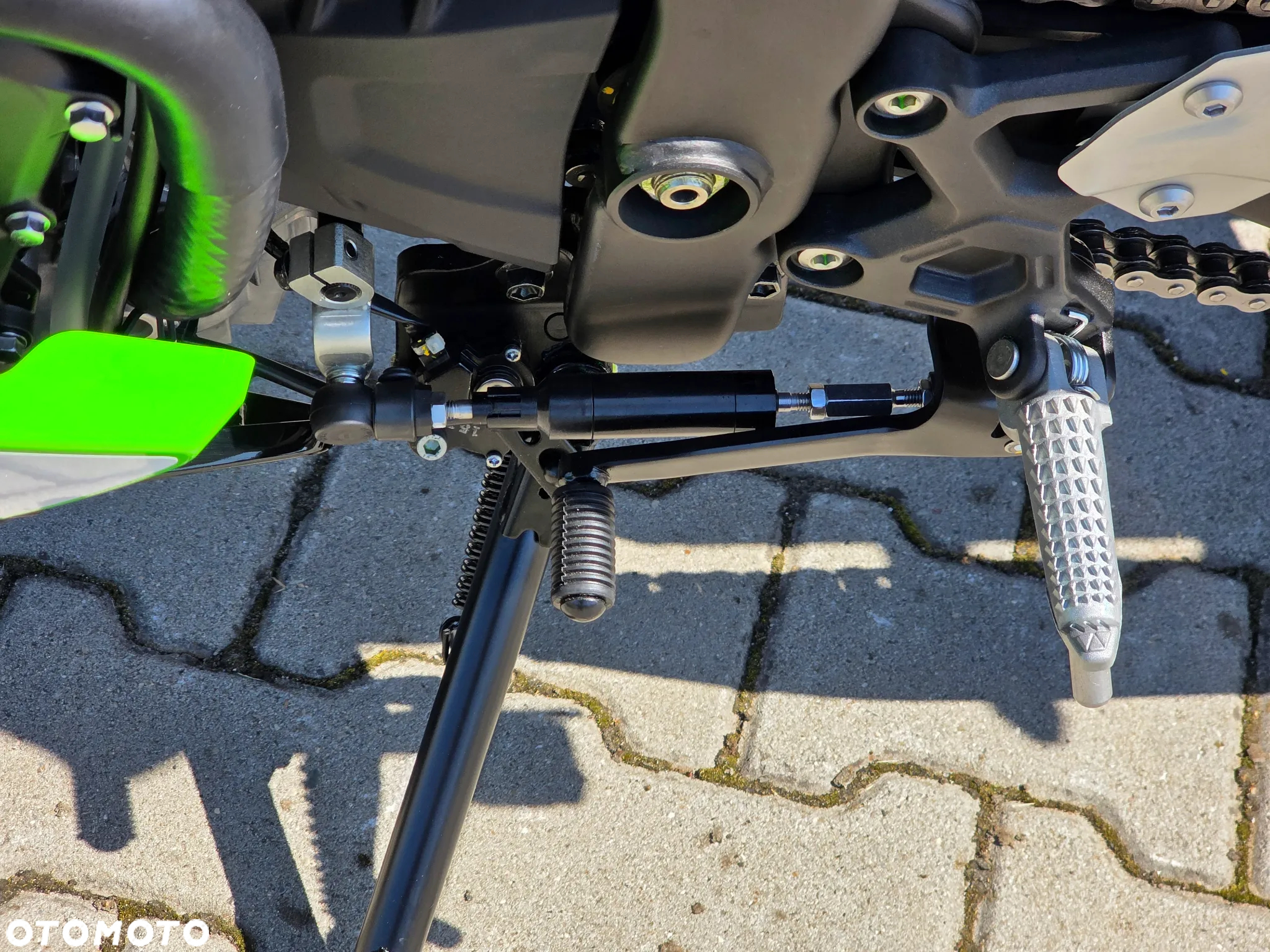 Kawasaki Ninja - 10