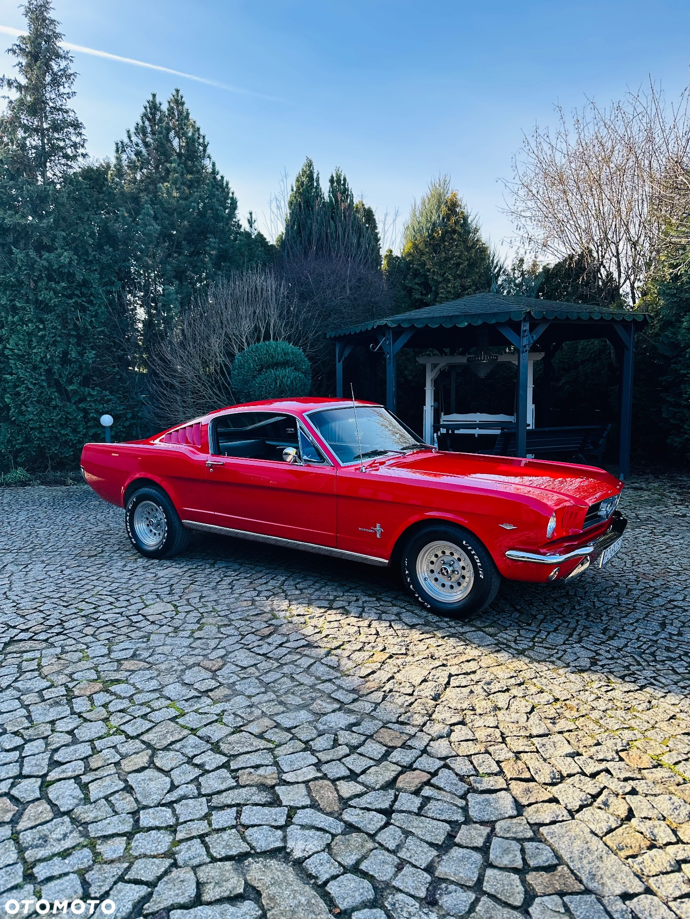 Ford Mustang - 28