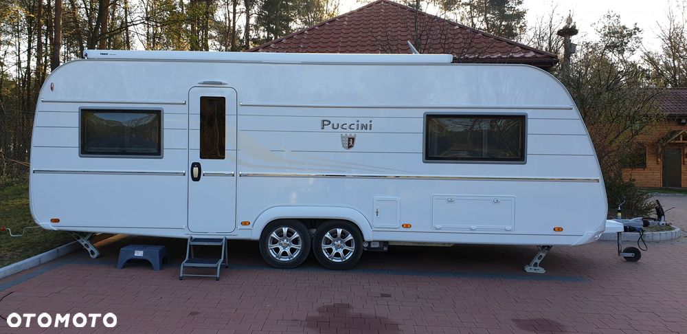 Tabbert Puccini - 2