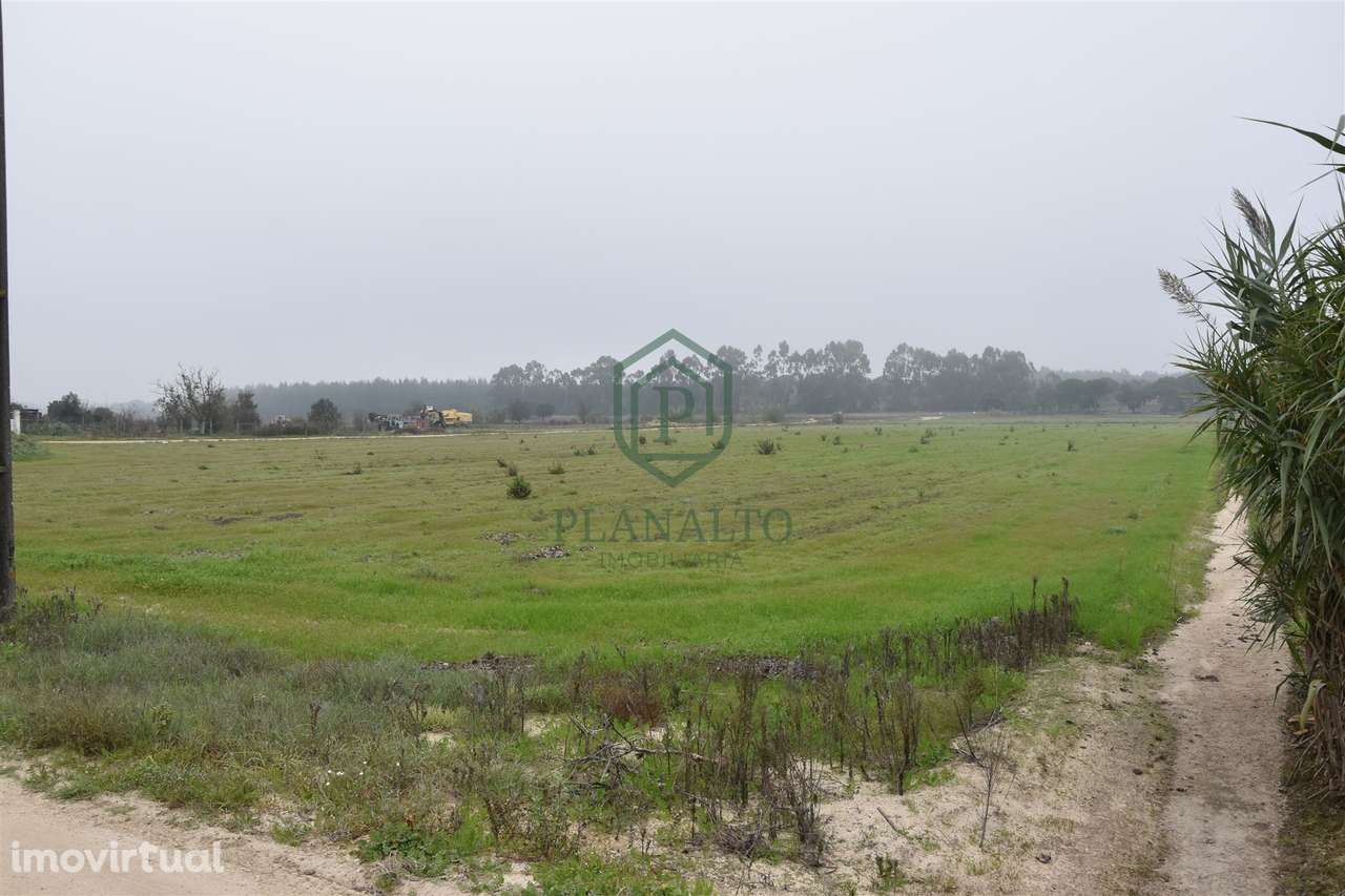 Terreno  Venda em Branca,Coruche - Grande imagem: 2/6