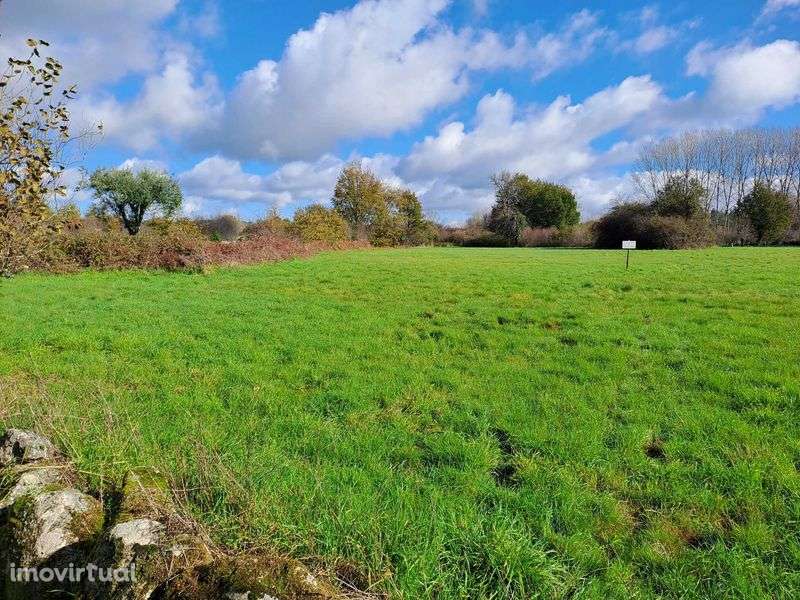 Vendo terreno em Douro Calvo, Sátão, Viseu - Grande imagem: 2/3