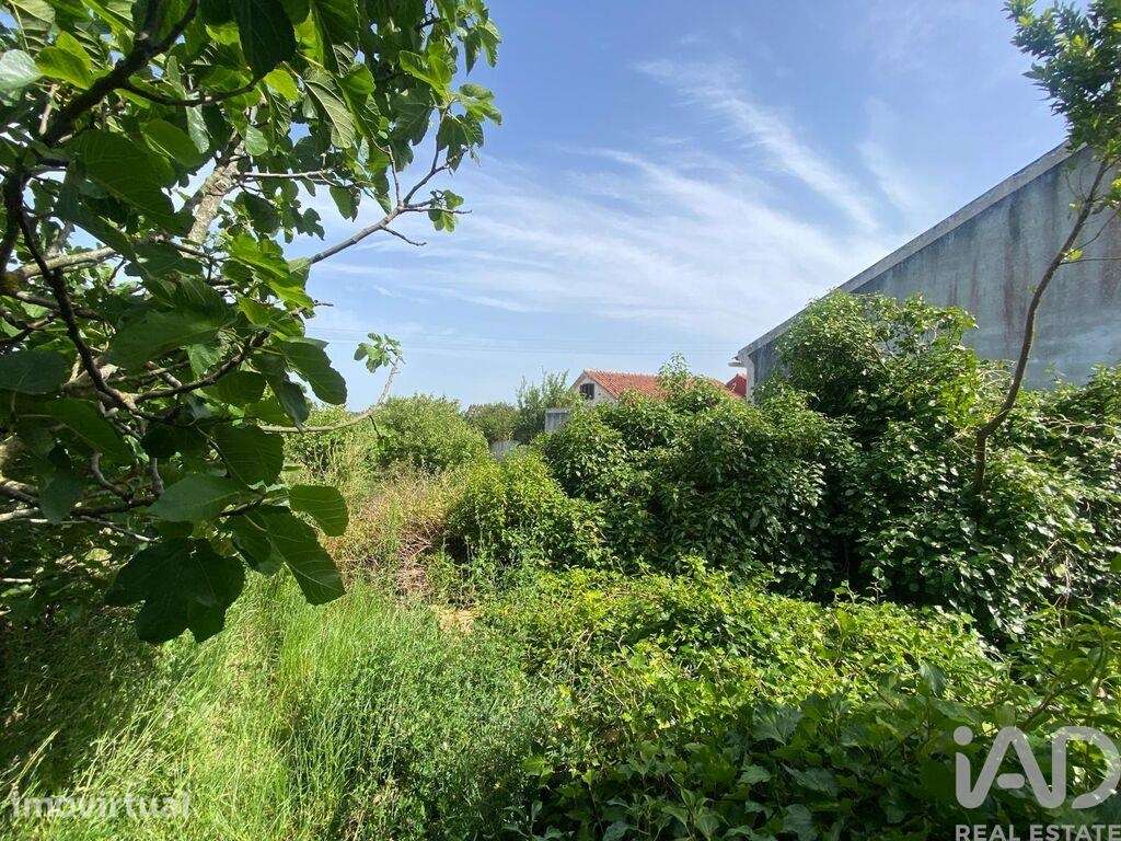 Casa / Villa em Carvalhal de 105 m2 - Grande imagem: 4/7