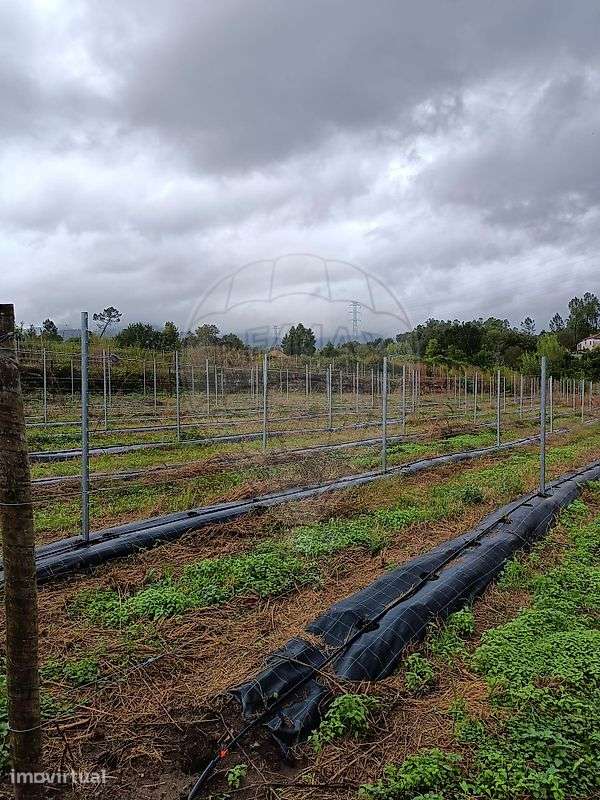 Terreno  para venda - Grande imagem: 2/12