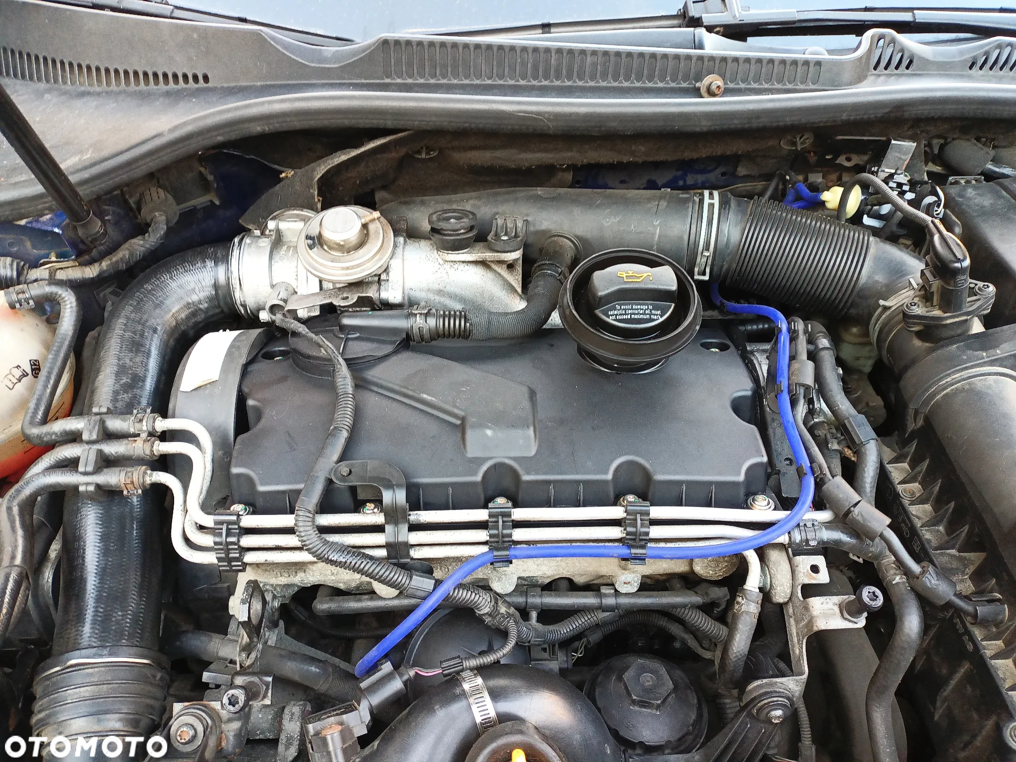 Volkswagen Golf - 23