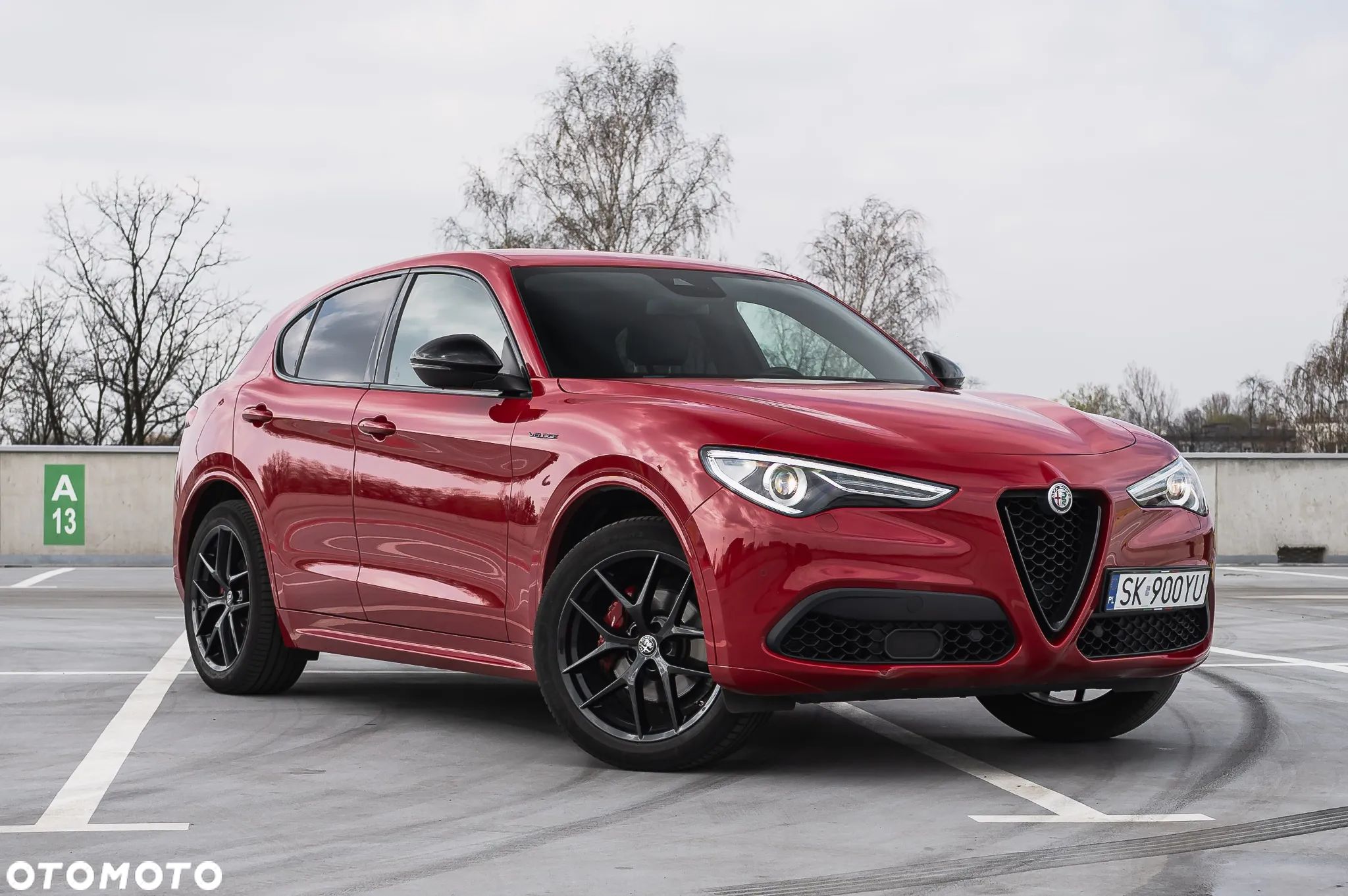 Alfa Romeo Stelvio 2.0 Turbo Veloce Q4 - 1