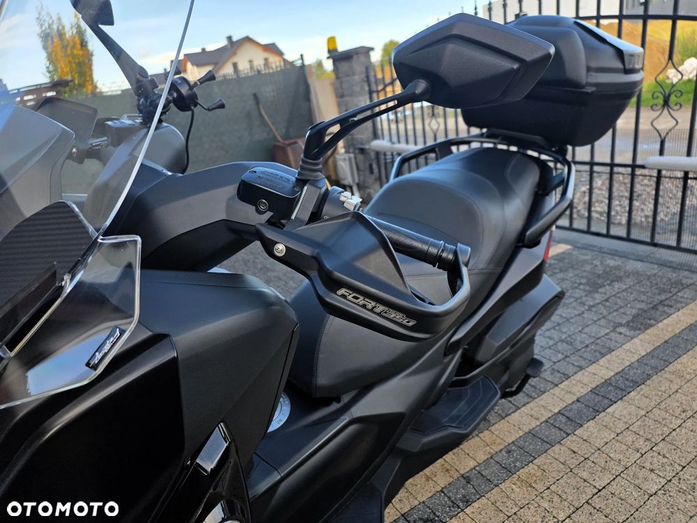 QJMOTOR FORT 350 - 9