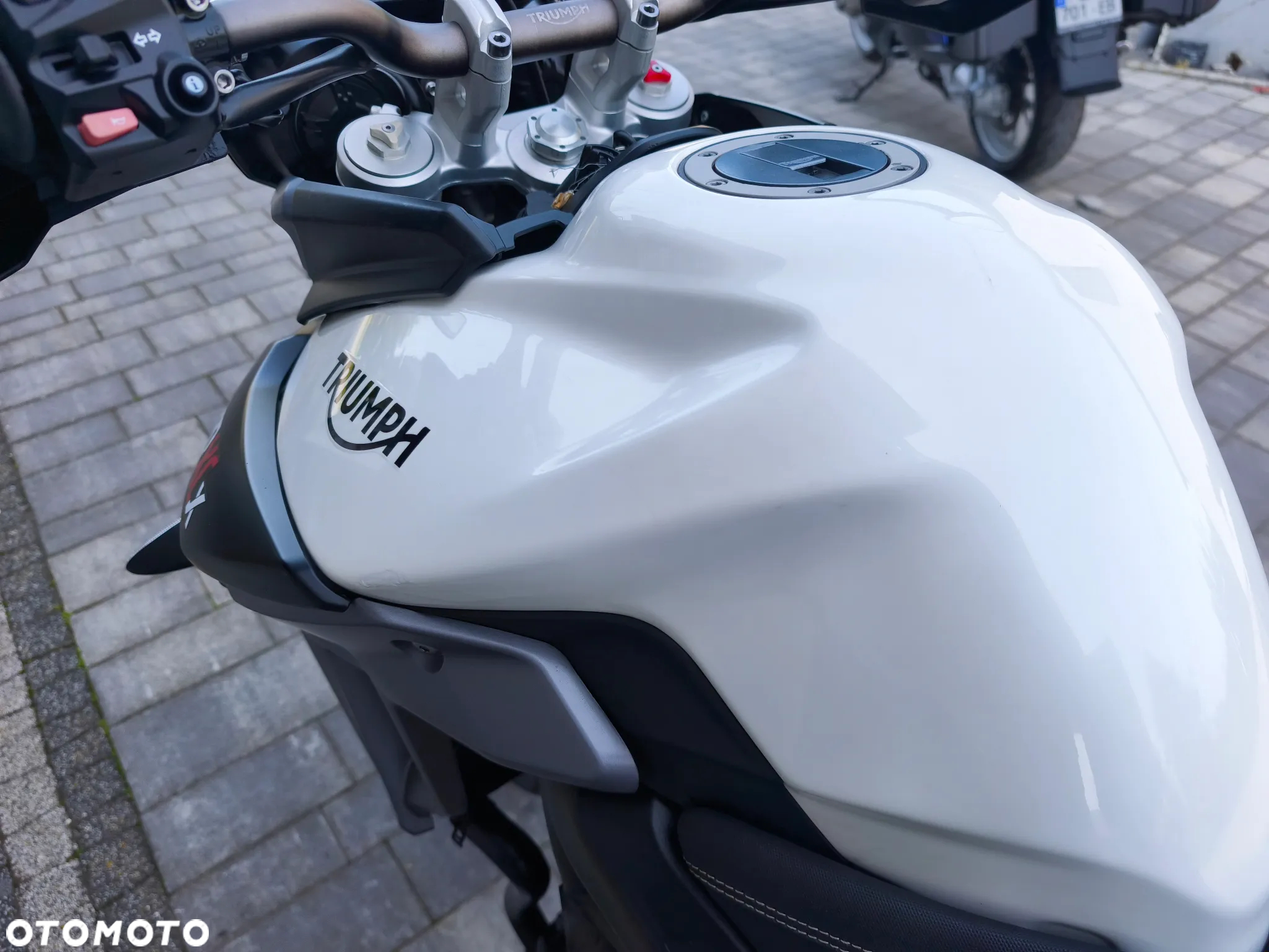 Triumph Tiger - 24