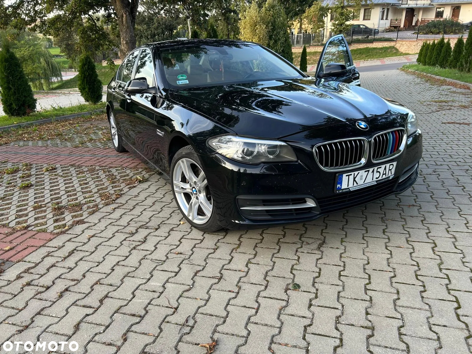 BMW Seria 5 518d Luxury Line - 10