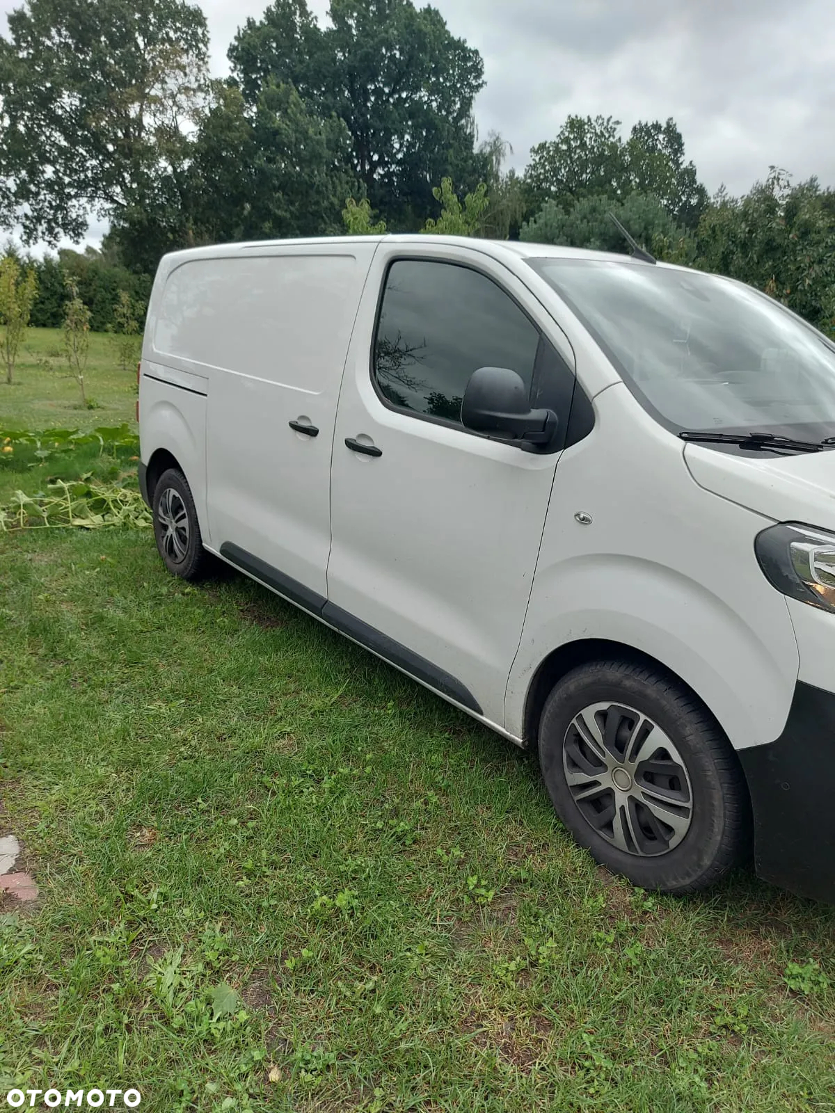 Peugeot Expert 2.0 BlueHDi Standard 2,8t (bryg.) - 2