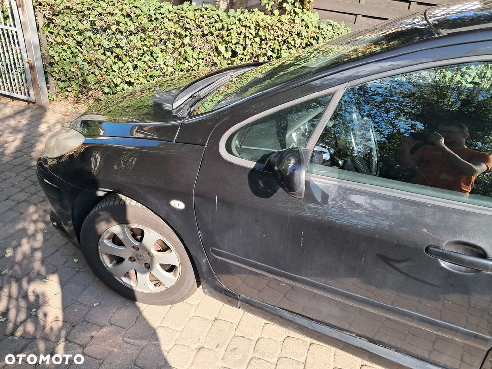 Peugeot 307 - 5