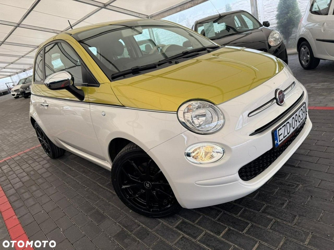 Fiat 500 - 3