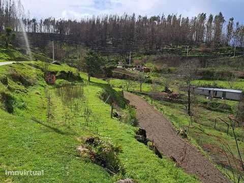 Terreno com mina de água - Grande imagem: 2/11