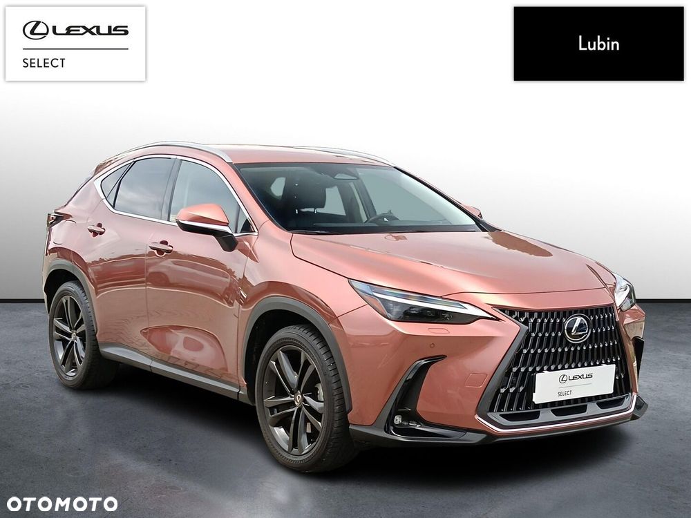 Lexus NX - 8