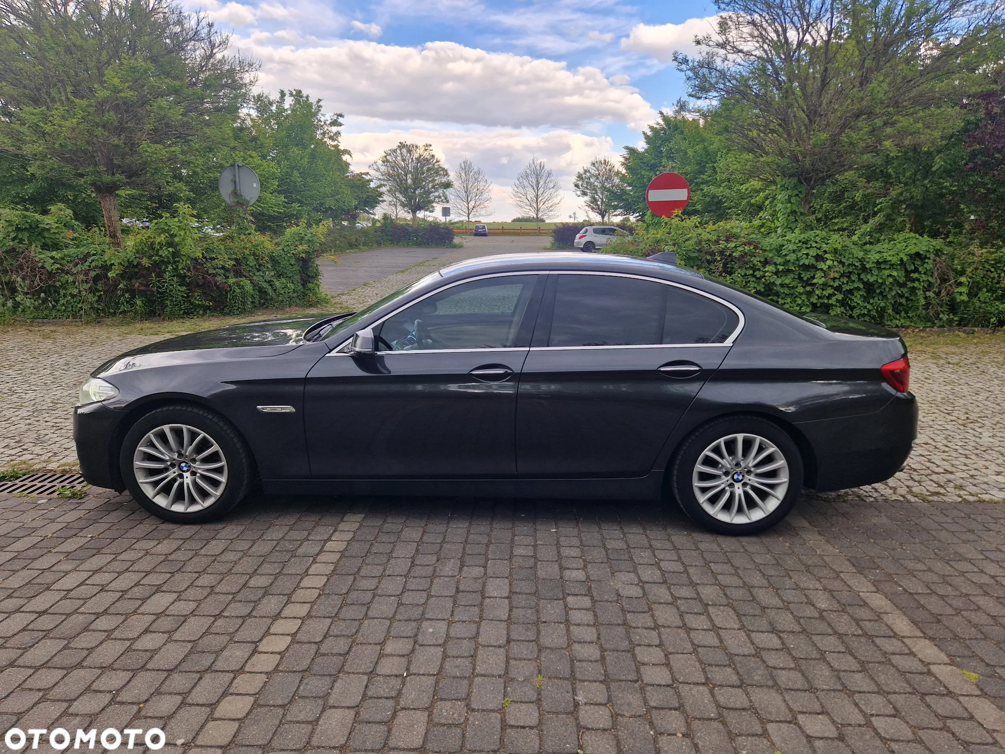 BMW Seria 5 520d Luxury Line sport - 13