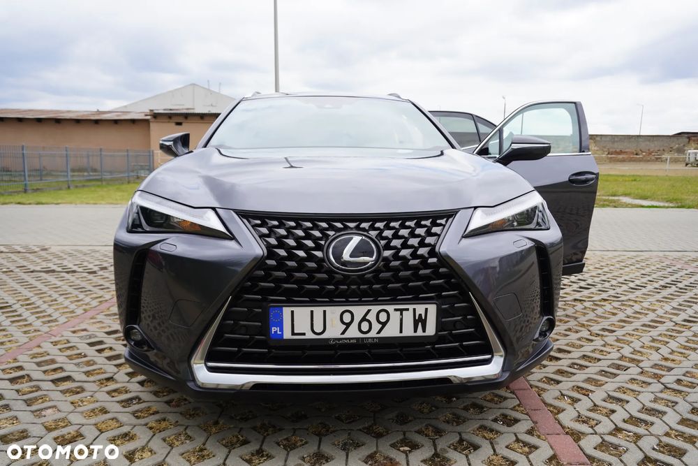 Lexus UX 250h GPF Business Edition 2WD - 5