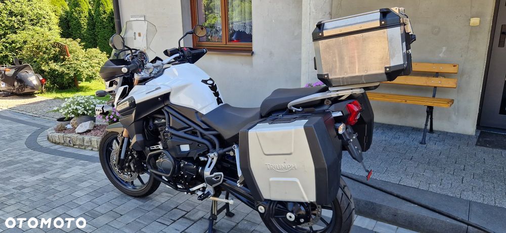Triumph Tiger - 13