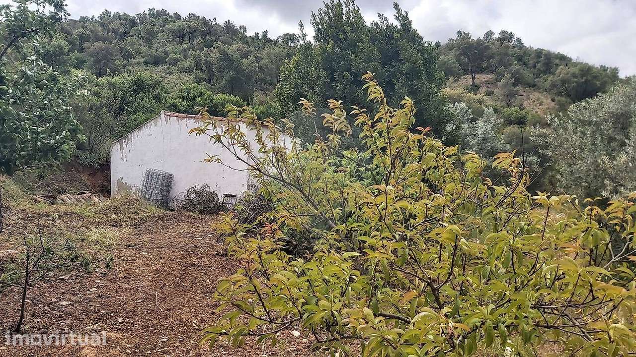 Terreno  para venda - Grande imagem: 3/10