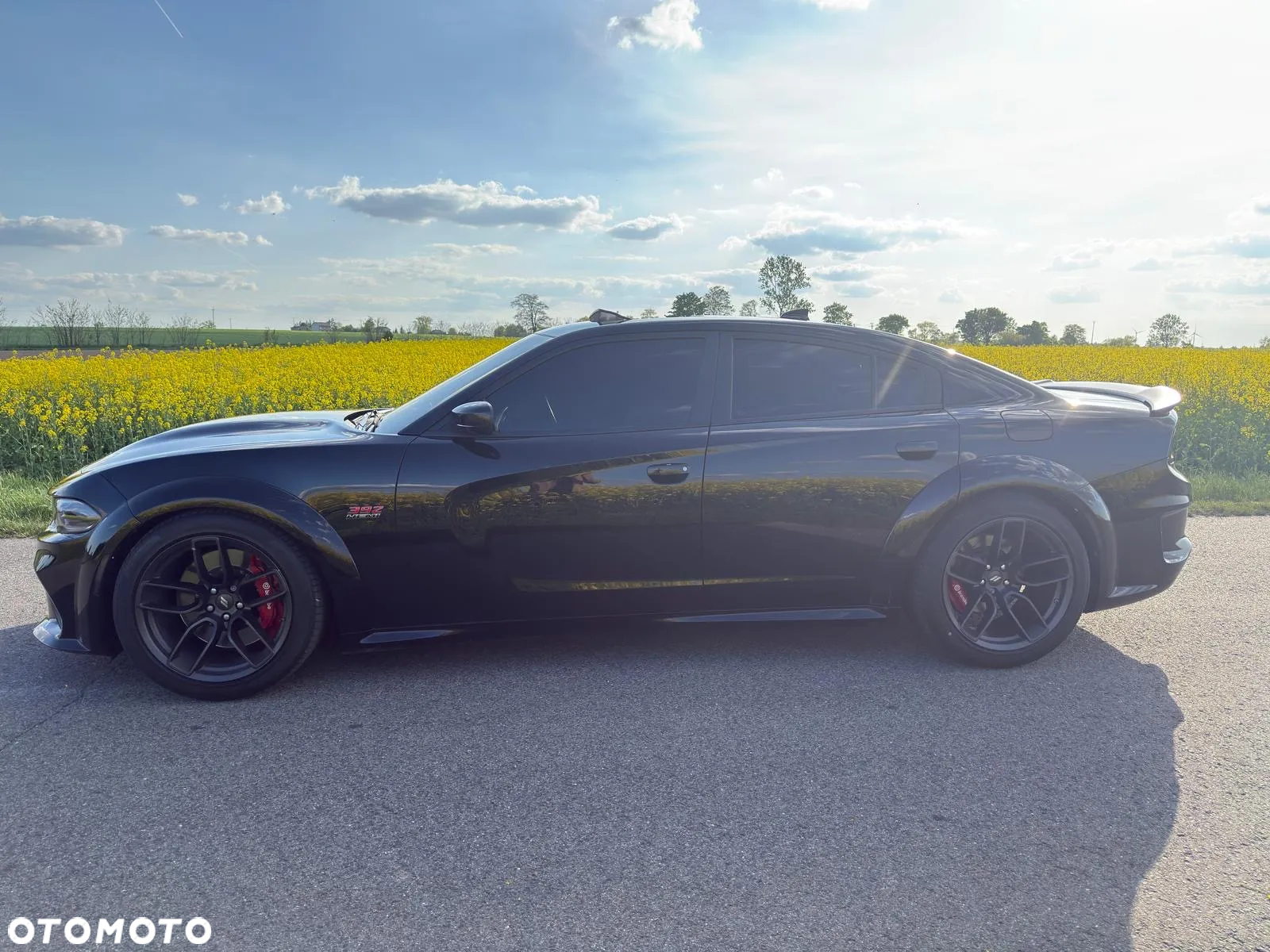 Dodge Charger 6.4 Scat Pack Widebody - 9