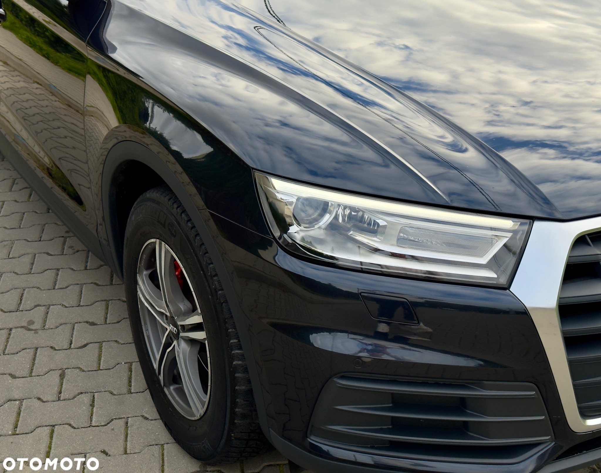 Audi Q5 2.0 TDI (clean diesel) ultra - 3