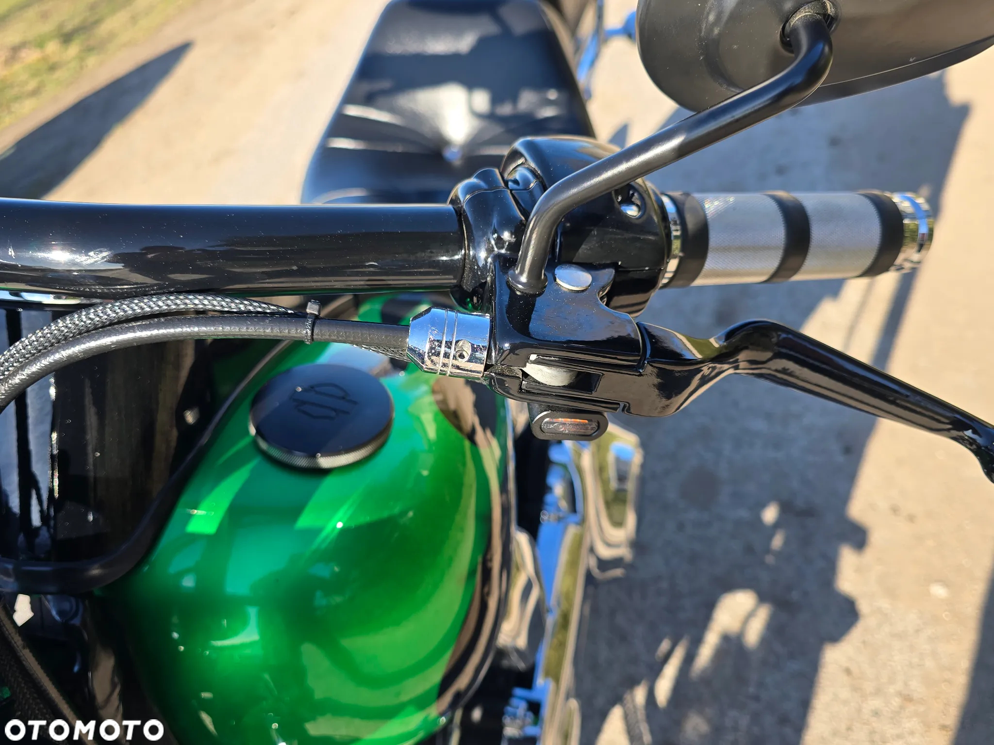 Harley-Davidson Softail Custom - 18