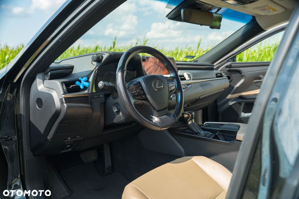 Lexus ES 300h Business Edition + - 12
