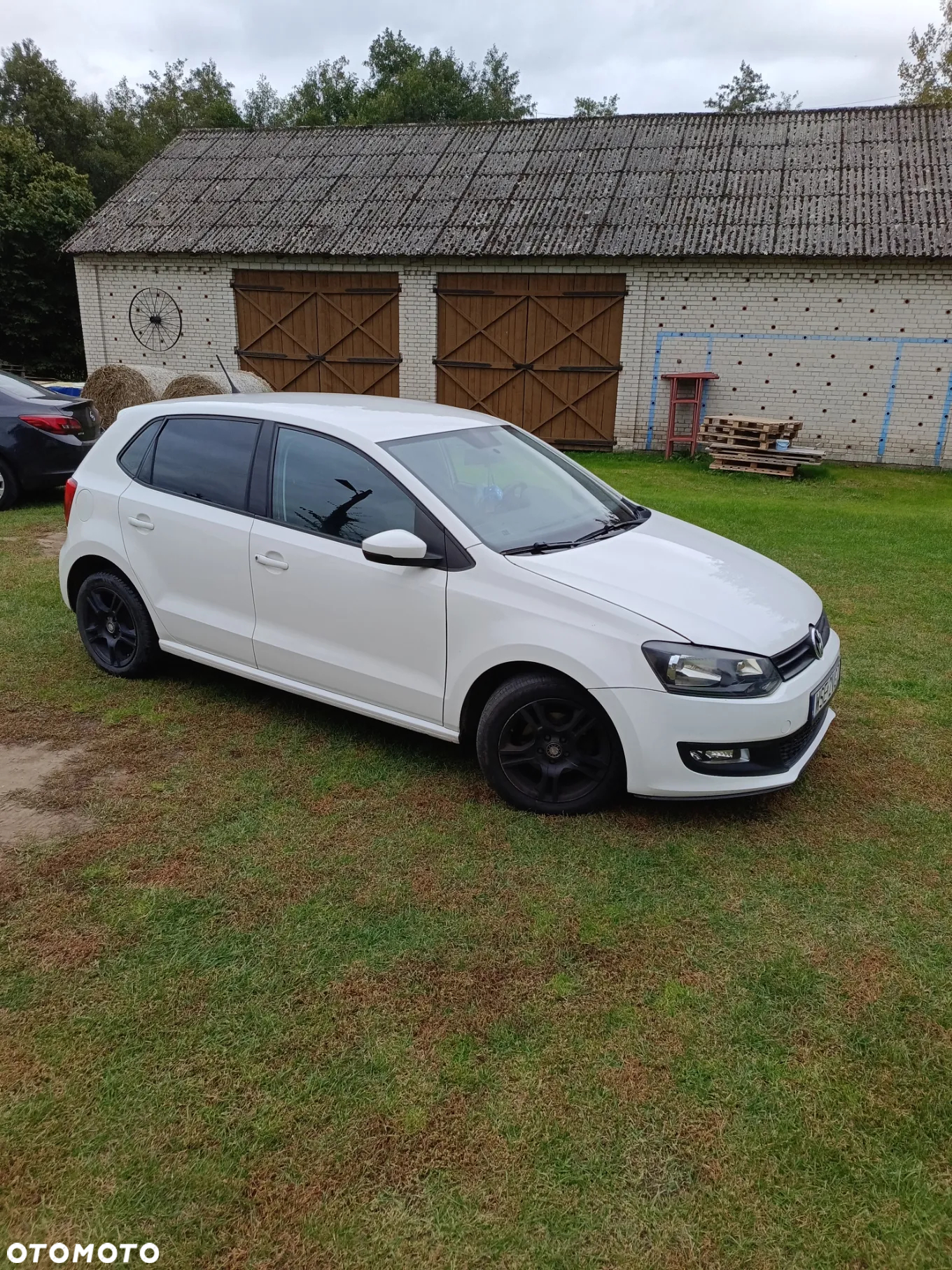 Volkswagen Polo - 7