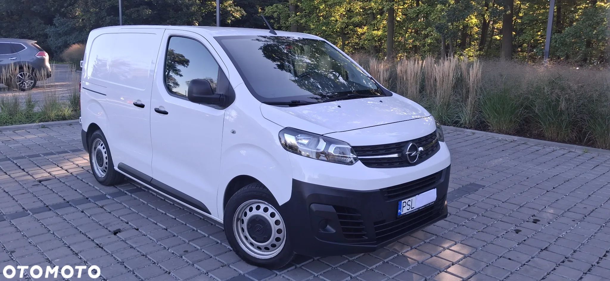 Opel Vivaro - 1