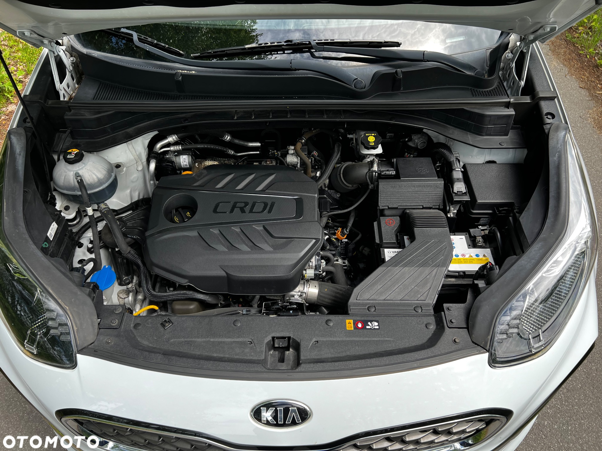 Kia Sportage 1.6 CRDI L 2WD - 25