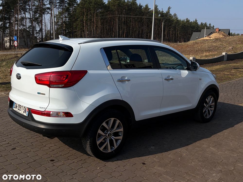 Kia Sportage 1.6 GDI Business Line L 2WD - 13